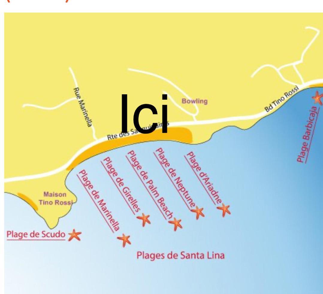 Superbe Pieds Dans L Eau Ajaccio Face A La Mer Plage De Sable Fin Route Des Iles Des Sanguinaires Εξωτερικό φωτογραφία